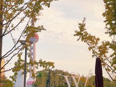 -Wolfgang’s Steakhouse 沃夫冈牛排馆(上海白玉兰广场店)