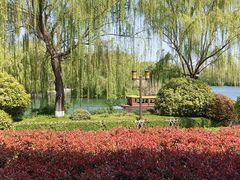 -鹊华居·地道鲁菜·海鲜·融合味(大明湖店)