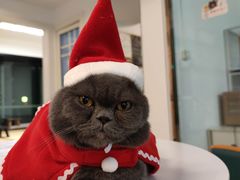 -泰国佛·塔罗·泰牌狐仙古曼