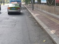-老大鸡骨架