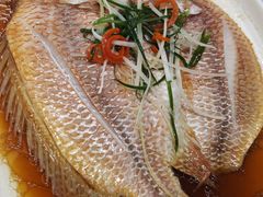 -华盛丰温州大排档(东三环南路店)