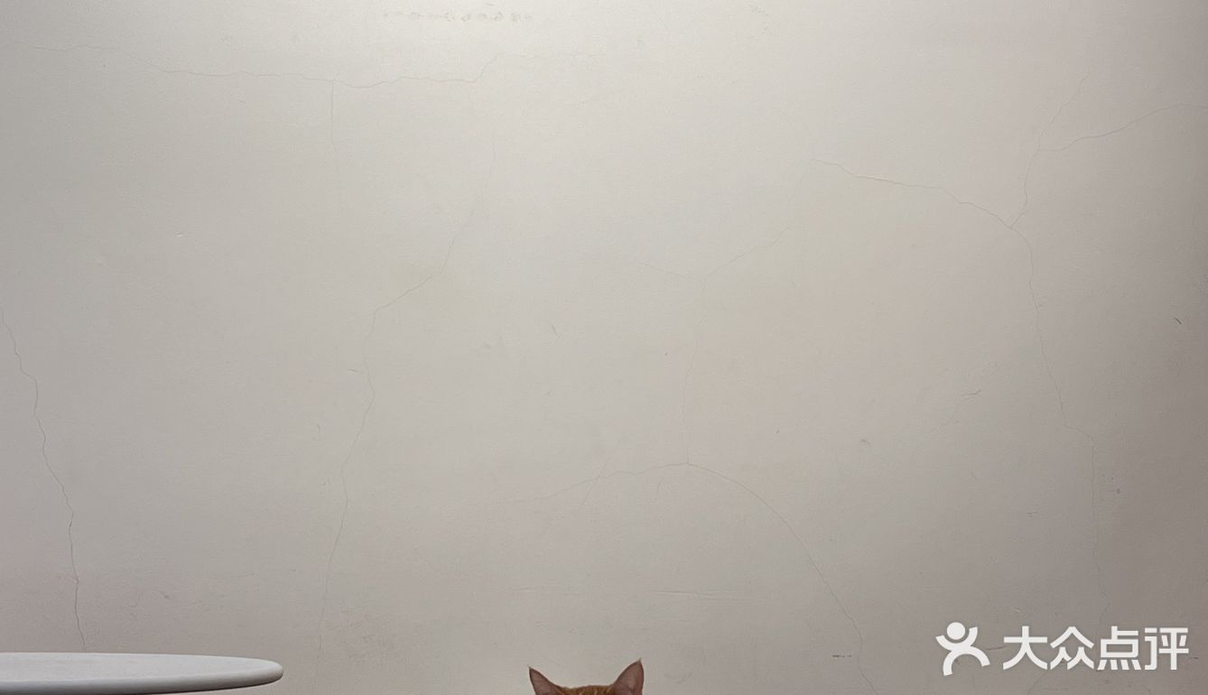 周末偶遇到天河南安静一隅咖啡店🐱