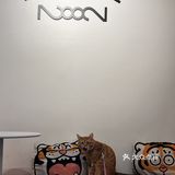 周末偶遇到天河南安静一隅咖啡店🐱