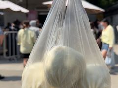 -西园寺素食(西园弄戒幢律寺店)