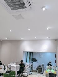 -洗脸猫·洗脸吧