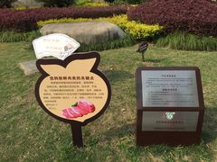 -南翔镇银翔湖公园
