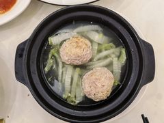 -丁老爷子苏香圆