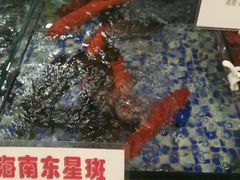 -雅盛品931海鲜酒家