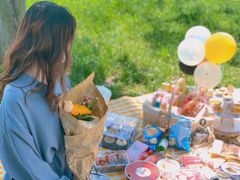 -合肥滨湖国家森林公园