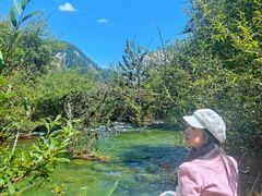 -九寨沟-树正沟