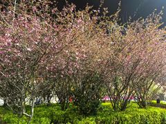 -口岸雕花楼