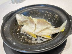 -半岛宴·湛江精品菜(蛇口广场店)