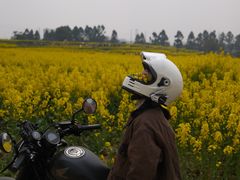 -三圣花乡旅游区