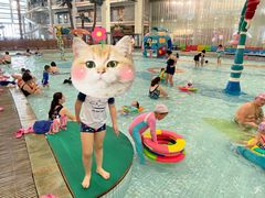 -南宫温泉水世界