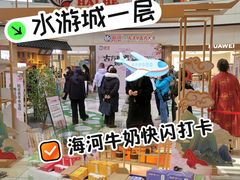 -鹏欣水游城