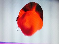 -Sony Store 索尼(上海淮海中路店)