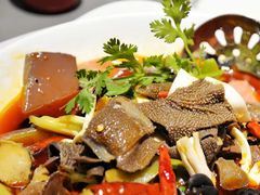 -香辣会·老牌川菜(骏豪店)