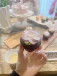 -阿南达·瑜伽普拉提·阿育吠陀疗愈中心