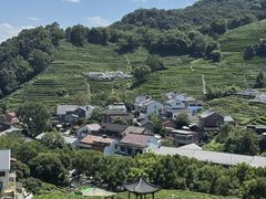 -龙井村