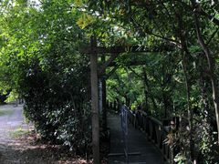 -东海大峡谷