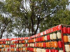 -梁鸿国家湿地公园