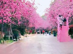 -洛龙公园