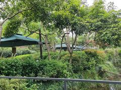 -中国茶叶博物馆(双峰馆区)