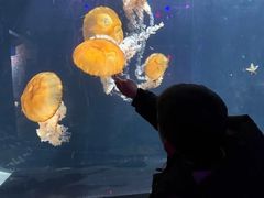 -邯郸海洋世界