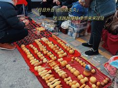 -中环花鸟鱼虫市场