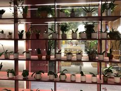 -二酉书店TOYOU BOOKS