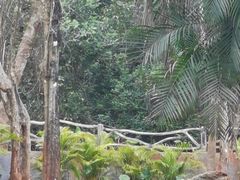 -海南热带野生动植物园