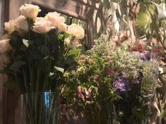 -自由生长植物工作室(深港花卉中心店)