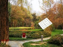 -木塔寺遗址生态公园