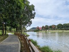 -风云岭森林公园