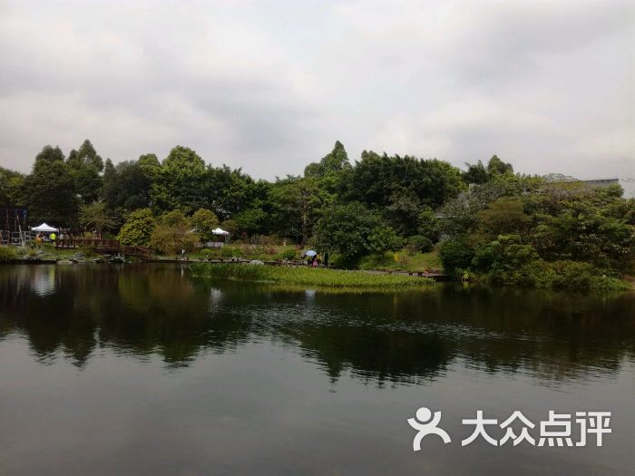 海珠溼地公園圖片 - 第5張