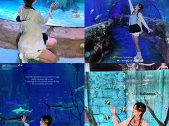 -沈阳海洋探索中心