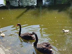 -长白岛森林公园