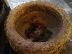 -小龙坎老火锅(金柏林店)