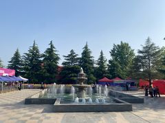 -洛阳郁金香牡丹园