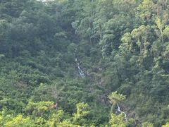 -皇鸽餐厅(龙塘店)