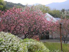 -北京西山国家森林公园