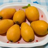 米易枇杷