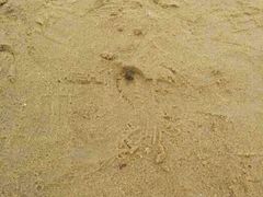 android_upload_pic-碧海金沙