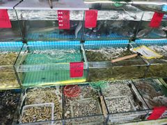 -洲晓鲜·舟山海鲜大排档(朱家尖风景区店)