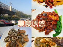 -渔家风味·鲅鱼水饺·央视展播·海鲜天津菜(开发区店)