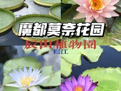 -上海辰山植物园