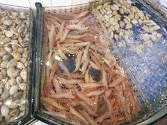 -益利大酒楼(井岸店)