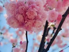 -观澜湖生态运动公社