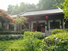 -十八棵（老龙井）御茶园(老龙井店)