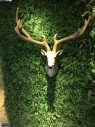 -V-STAR威斯达•高级私人定制